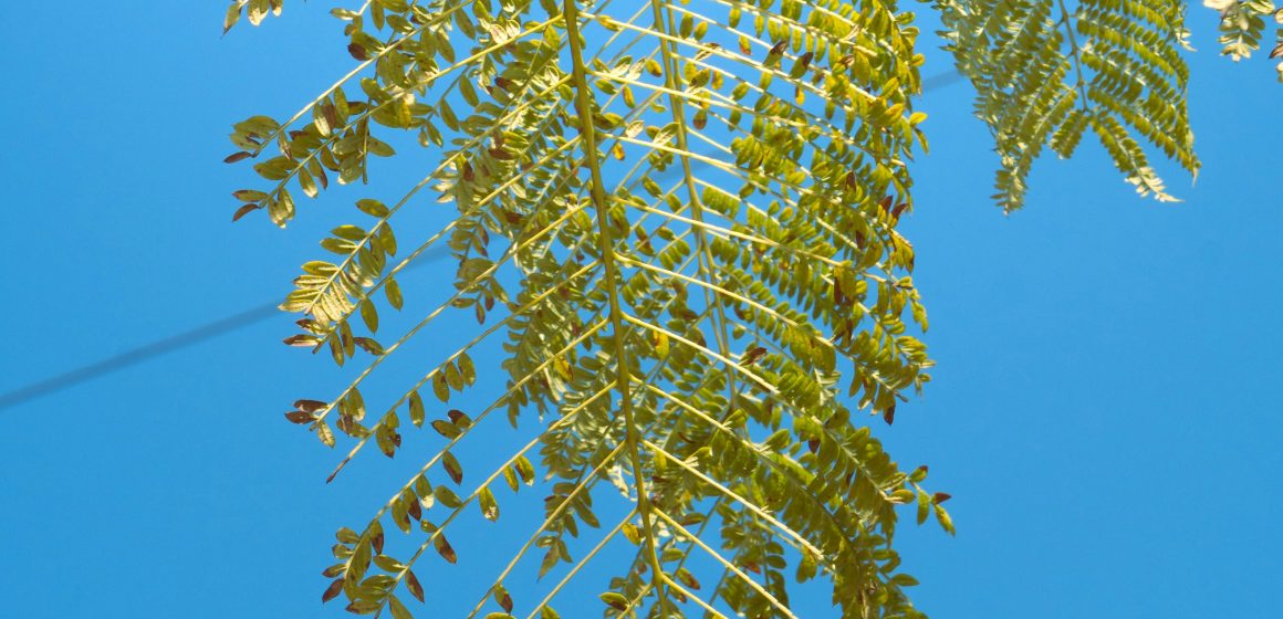 Tips for Choosing the Right Insurance Policy to Meet Your Needs