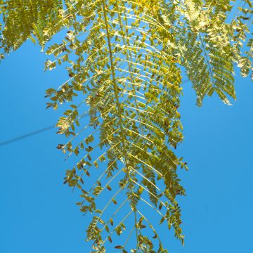 tips-for-choosing-the-right-insurance-policy-to-meet-your-needs Tips for Choosing the Right Insurance Policy to Meet Your Needs