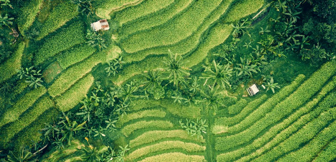 A Step-by-Step Guide to Assessing the Value and Quality of a Product or Service