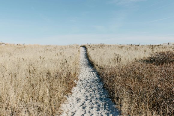 Career Planning for a Natural Language Approach